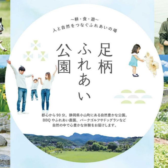 1O1足柄ふれあい公園　手ぶらでBBQ（8名様）