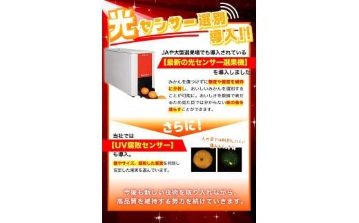 【2025年11月発送予約分】【家庭用】【農家直送】こだわりの有田みかん 約10kg＋250g(傷み補償分)  有機質肥料100%  サイズ混合　【11月発送】※北海道・沖縄・離島配送不可【nuk10