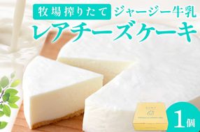 牧場のチーズケーキ（生）1個　TJ00013