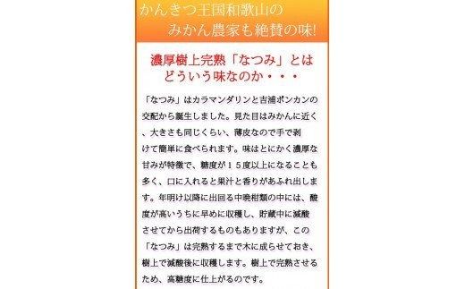  初夏のみかん　なつみ3kg　※2026年4月中旬頃〜2026年4月下旬頃順次発送（お届け日指定不可）/ みかん 蜜柑 フルーツ 果物 くだもの 【uot753A】