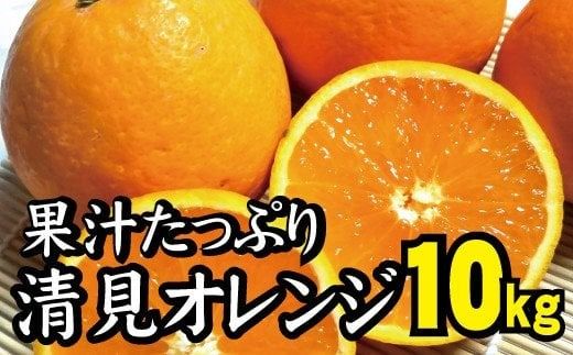 【農家直送】果汁たっぷり！清見オレンジ 約10kg サイズお任せ 有機質肥料100% ※2026年3月～4月ごろより順次発送予定（お届け日指定不可）/ミカン 蜜柑 柑橘 清見 清見オレンジ フルーツ 果物 【nuk113B】