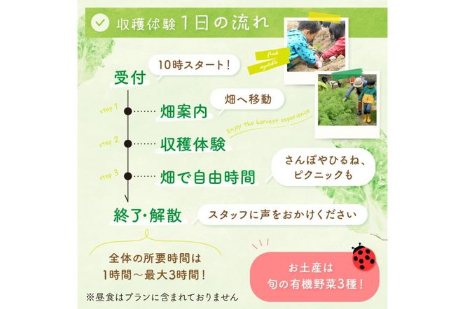 オーガニックファームでのんびり過ごそう！収穫体験&お土産付き(2名様分) BR00017