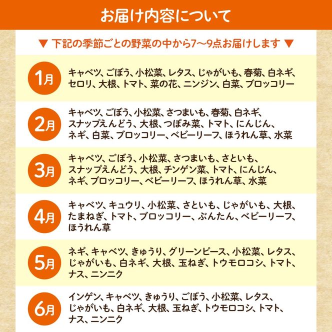 【毎月お届け】むなかた旬のお任せセット（野菜）7～9品【JAほたるの里】_HB0173