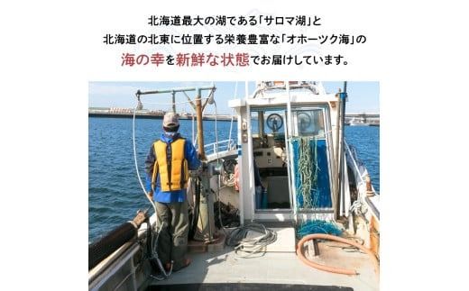 《14営業日以内に発送》オホーツク海産 ホタテの缶詰 80g×4缶 ( 帆立 ほたて 貝 魚介類 海鮮 )【114-0051】