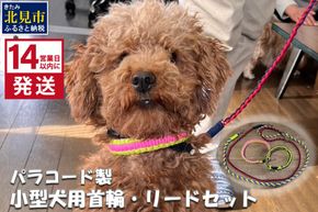 《14営業日以内に発送》小型犬用首輪 2個 リード 2本 4点セット ( ペット 犬 小物 わんこ 手作り 首輪 リード )【195-0006】