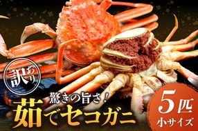 驚きの旨さ！茹でセコガニ 【訳あり】小サイズ5匹入 SS00084