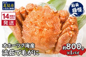 《14営業日以内に発送》オホーツク海産 浜茹で毛がに 約800g×1パイ 冷凍 ( かに カニ 毛ガニ 魚介類 蟹 )【114-0032-2026】