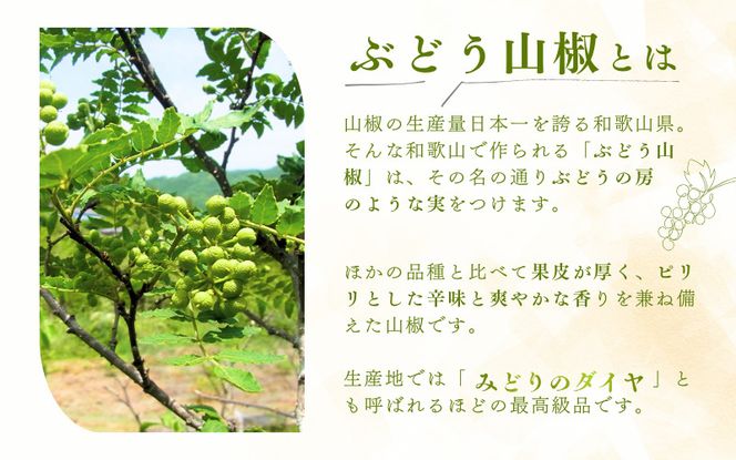  冷凍 ぶどう 生実山椒 250g / 山椒 さんしょう 香辛料 調味料 薬味 冷凍 ぶどう山椒 生山椒 和歌山県 紀美野町 生実山椒【twn020A】