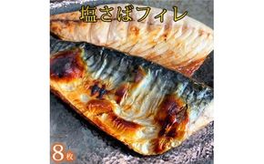  塩さばフィレ 8枚入（真空パック入）/さば サバ 鯖 フィレ 切り身 切身 魚 海鮮 焼き魚 おかず 【uot404B】