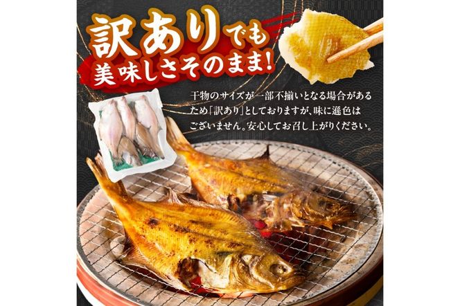 京丹後の地元魚屋が作ったお任せ干物セット（冷凍）　TB00024
