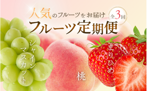 【定期便全3回】和歌山県産 人気のフルーツ定期便！ 桃・シャインマスカット・まりひめ 旬の時期にお届け♪ / 定期便 桃 もも シャインマスカット マスカット いちご イチゴ 苺 果物 フルーツ 3回【tkb604】