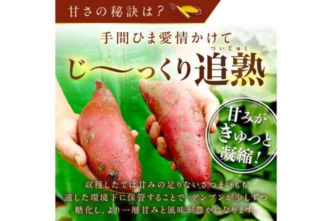 【先行予約】日本一！さつまいもオブザイヤー2部門受賞のサツマイモ農家が作る「紅はるか」の冷凍焼き芋2kg（8～14本程度）（2026年2月中旬～発送）　TF00062