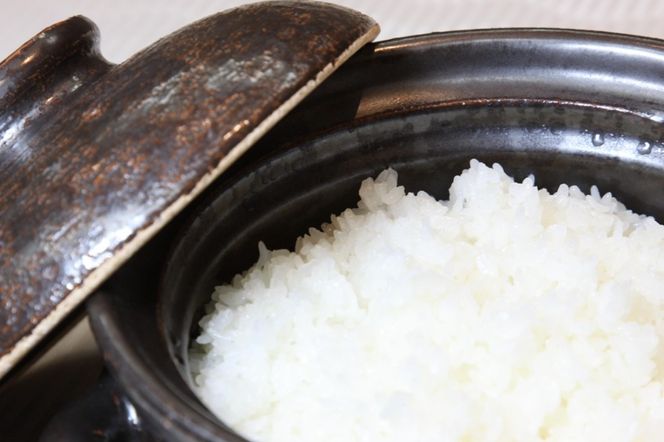 2026年産 丹後弥栄産コシヒカリ（玄米10kg） ふるさと納税 お米 米 玄米 コシヒカリ 農家直送 丹後こしひかり ふるさと納税 玄米　WD00006