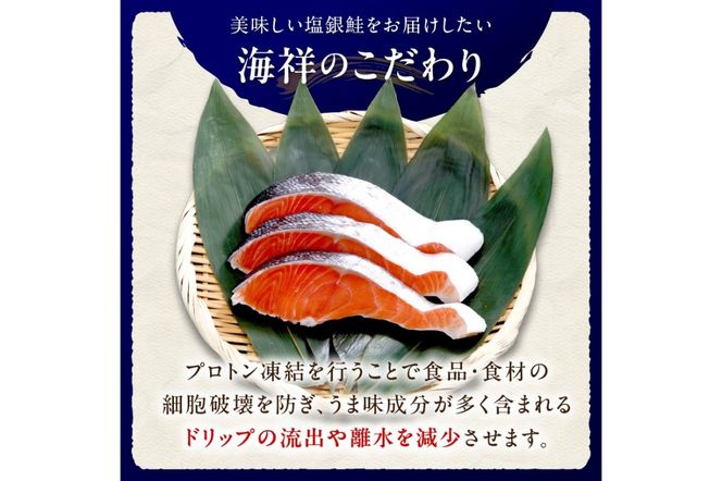 お手軽！絶品！厚切り　塩銀鮭切身 約1kg（プロトン凍結　訳あり　不揃い）　定期便　月1回×3ヵ月　YK00364