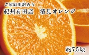  【先行予約】【ご家庭用訳アリ】紀州有田産清見オレンジ7.5kg　※2026年3月下旬頃〜2026年4月中旬頃に順次発送予定(お届け日指定不可)  / みかん 蜜柑 フルーツ 果物 くだもの オレンジ
