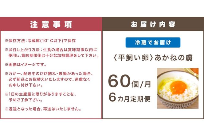 【J62-002】〈平飼い卵〉あかねの虜（60個/月）【6カ月定期便】