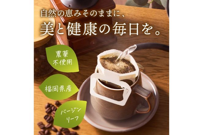 【B3-065】モリンガ珈琲&モリンガ珈琲ドリップタイプ