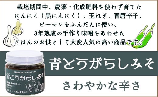 南国農家 ごはんをおいしくする みそ三姉妹(にんにくみそ、黒にんにくみそ、青とうがらしみそ) ng-0005