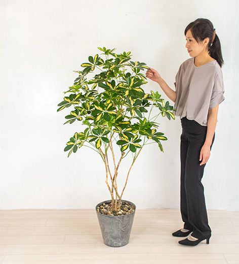 ymzmzVFtijiԁjGow-503