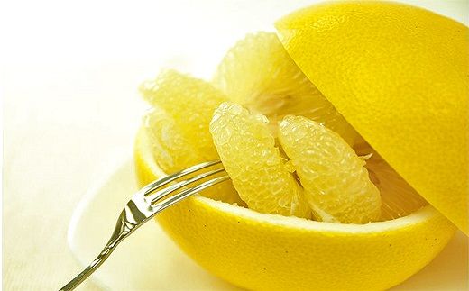 【先行予約受付中 2026年発送】森下さん家の(家庭用)土佐文旦(約5kg/8～12玉) 　フルーツ 果物 新鮮 柑橘