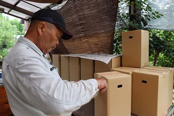 【2026年発送 先行受付】【期間限定】山中さんの朝採れ　スイートコーン