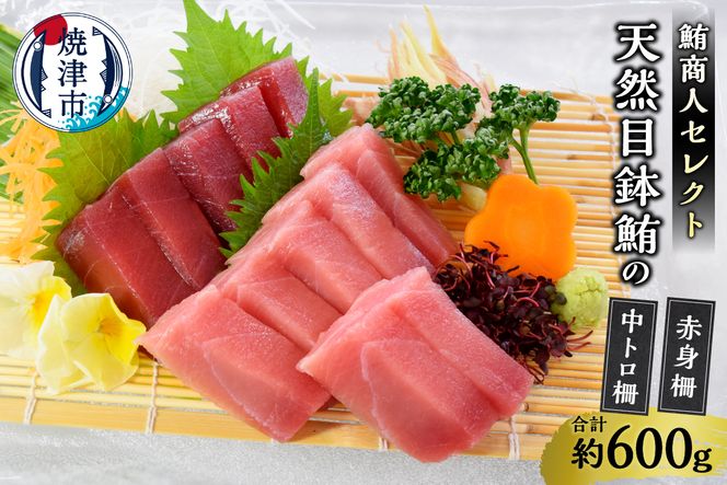 yÉĒÎsza20-418@lZNg VRڔ̒gԐg