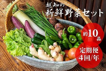 越知産市の季節の野菜セット(年4回発送)　産地直送　旬野菜