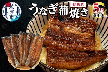 a38-006　うなぎ 蒲焼き 長焼き 5尾 約600g