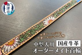 a61-001　中型 犬 の 首輪