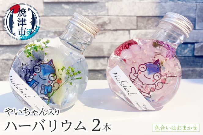 yÉĒÎsza15-527@n[oE 2{ Zbg ₢