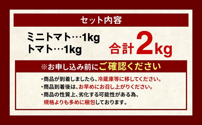 【先行予約】熊本県産トマト 1kg ＆ ミニトマト 1kg  合計2kg はなまるお ＆ はなまるこ【2024年11月上旬より順次発送】