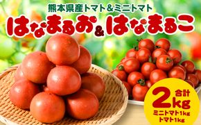 【先行予約】 熊本県産トマト 1kg ＆ ミニトマト 1kg 合計2kg はなまるお ＆ はなまるこ トマト とまと 新鮮 サラダ 野菜 やさい 八代市産 九州 【2025年12月中旬より順次発送】