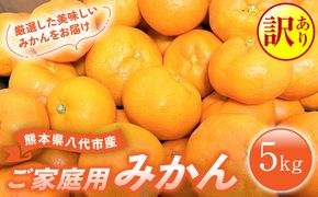 【訳あり】 熊本県八代市産 ご家庭用みかん5kg 蜜柑 柑橘 ミカン 