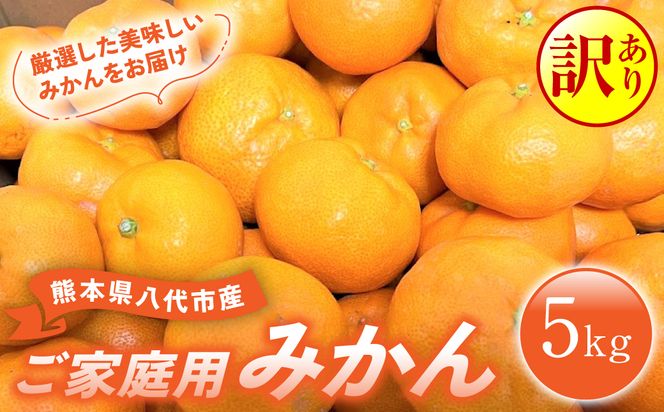 【訳あり】 熊本県八代市産 ご家庭用みかん5kg 蜜柑 柑橘 ミカン 