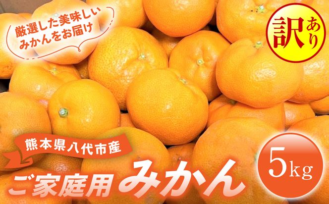 【先行予約】【訳あり】熊本県八代市産 ご家庭用みかん5kg 蜜柑 柑橘 ミカン【2024年9月下旬より順次発送】