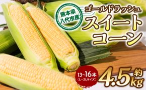 【先行予約】 プリッとジューシー！ 熊本県八代市産 スイートコーン ゴールドラッシュ（13～16本）約4.5kg とうもろこし トウモロコシ コーン 甘い おやつ BBQ 【2025年6月上旬より順次