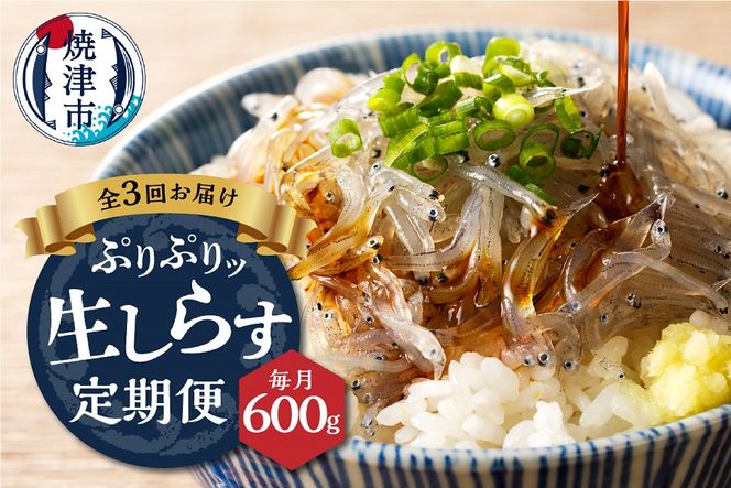 a30-234　【定期便 3 】生しらす100g 6個×3回