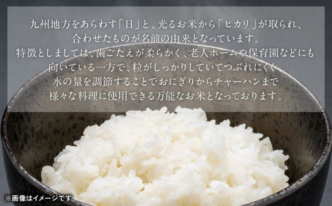 《令和7年産》熊本県八代市産 球磨川急流米 ヒノヒカリ 10kg 国産 白米 精米 お米 コメ 米 ライス ご飯 ごはん 白飯