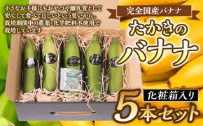 たかきのバナナ 5本入 化粧箱入り ばなな 果物 フルーツ ギフト 国産 朝食 スムージー 熊本県 八代市