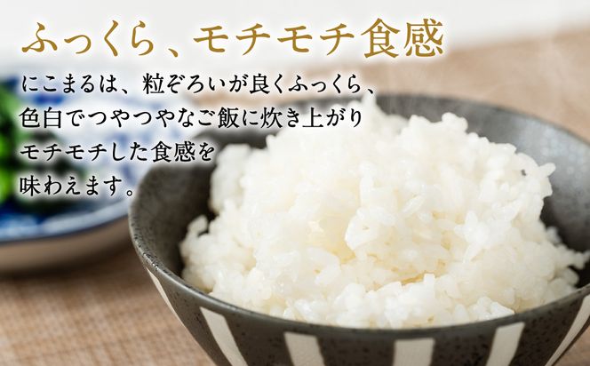 【先行予約】 【6回定期便】菜の花畑のお米 「特別栽培米」合計30kg （5kg×6回）令和6年産 にこまる 白米 お米【2024年11月上旬より発送開始】