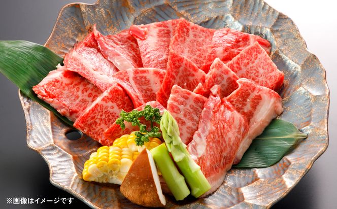 【定期便3回】肥後のあか牛 焼肉用 500g 熊本県産和牛 スライス 計3回発送