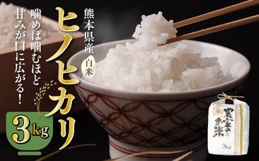 八代市産 ヒノヒカリ 3kg 令和5年産 米 熊本 送料無料