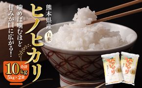 【令和6年産】八代市産 ヒノヒカリ 10kg (5kg×2袋) 米 熊本