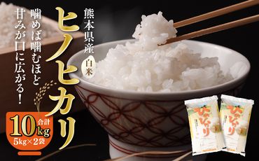 八代市産 ヒノヒカリ 10kg (5kg×2袋) 令和5年産 米 熊本 送料無料