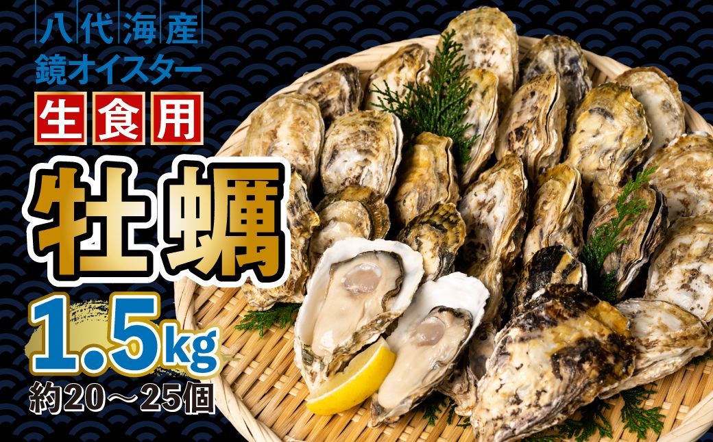 [先行予約] 牡蠣 鏡オイスター 生食用 1.5kg オイスター 生かき 新鮮 おつまみ BBQ [2025年12月中旬より順次発送]