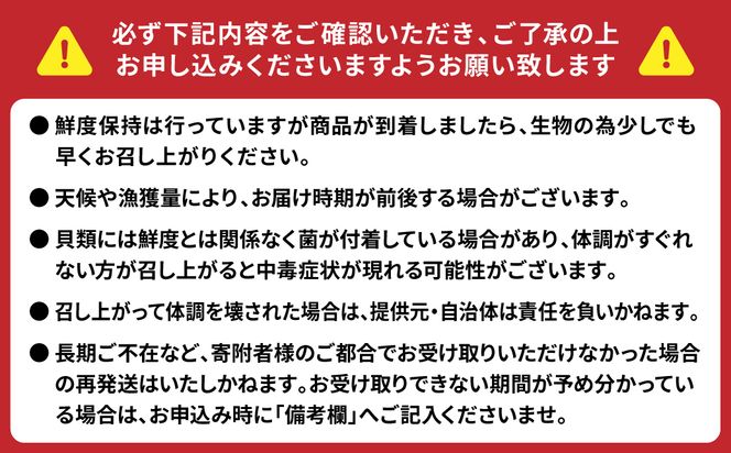 【先行予約】 牡蠣　鏡オイスター 生食用 1.5kg オイスター 新鮮【2024年12月中旬より順次発送】 