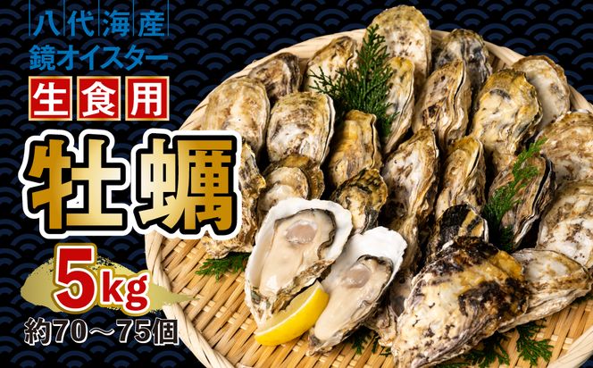 【先行予約】 牡蠣 鏡オイスター 生食用 5kg 生かき 新鮮【2024年12月中旬より順次発送】