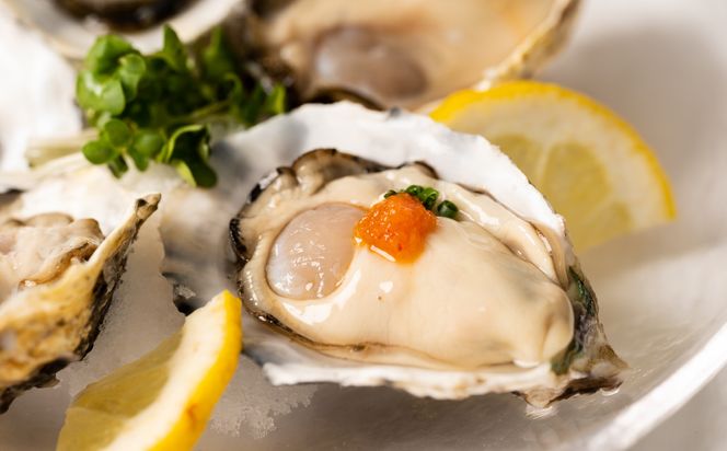 【先行予約】 牡蠣 鏡オイスター 生食用 5kg オイスター 生かき 新鮮 おつまみ BBQ 【2025年12月中旬より順次発送】