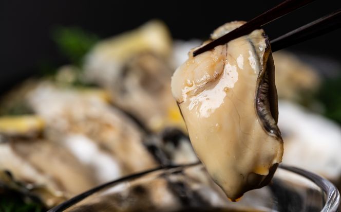 【先行予約】 牡蠣 鏡オイスター 生食用 5kg オイスター 生かき 新鮮 おつまみ BBQ 【2025年12月中旬より順次発送】