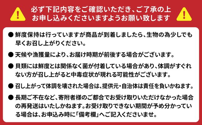 【先行予約】 牡蠣 鏡オイスター 生食用 5kg オイスター 生かき 新鮮 おつまみ BBQ 【2025年12月中旬より順次発送】